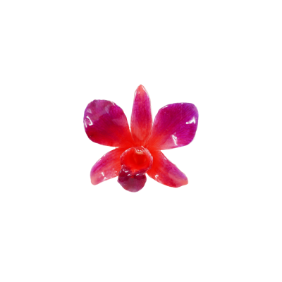 Clear-coated Dendrobium Orchid Brooch