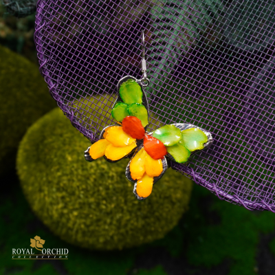 ต่างหูรูปผีเสื้อจากกลีบดอกบานชื่น