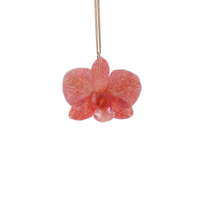 จี้ดอกเดรโดรเบียมพร้อมสร้อยคอชุบทอง