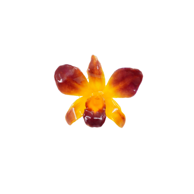 Clear-coated Dendrobium Orchid Brooch