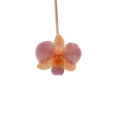 จี้ดอกเดรโดรเบียมพร้อมสร้อยคอชุบทอง