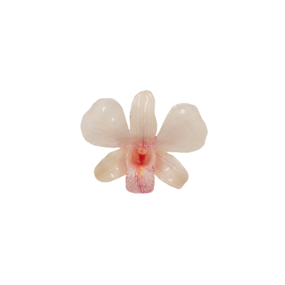Clear-coated Dendrobium Orchid Brooch