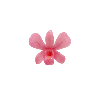 Clear-coated Dendrobium Orchid Brooch