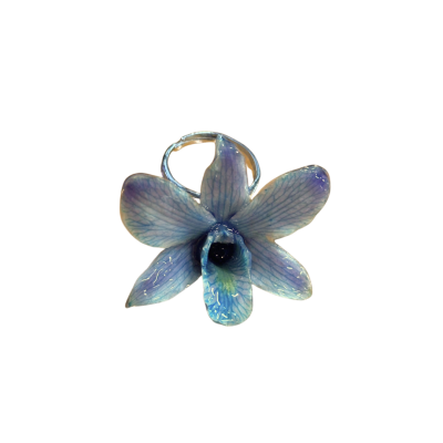 แหวนดอกกล้วยไม้เดนโดรเบียม