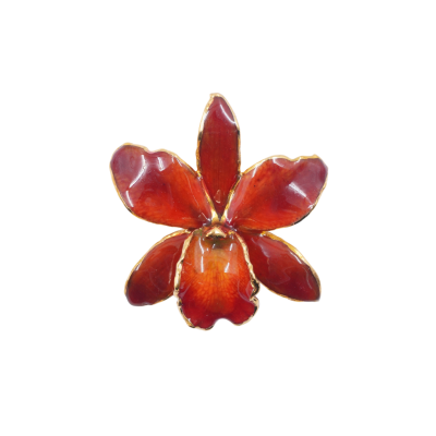 เข็มกลัดดอกกล้วยไม้แคทลียาขอบทอง