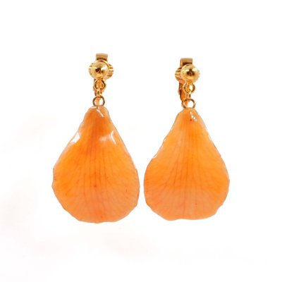 ต่างหูกลีบดอกกล้วยไม้เดนโดรเบียม ต่างหูกลีบดอกกล้วยไม้เดนโดรเบียม