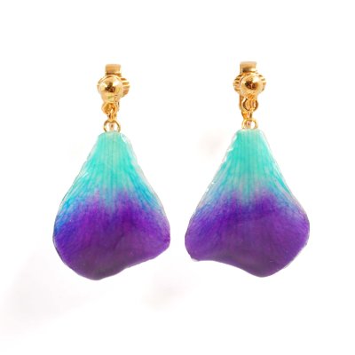 ต่างหูกลีบดอกกล้วยไม้เดนโดรเบียม ต่างหูกลีบดอกกล้วยไม้เดนโดรเบียม