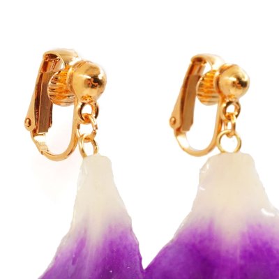 ต่างหูกลีบดอกกล้วยไม้เดนโดรเบียม ต่างหูกลีบดอกกล้วยไม้เดนโดรเบียม