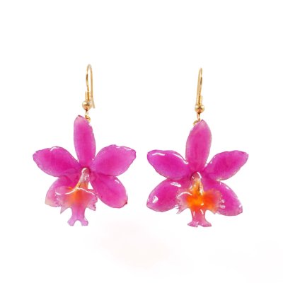 Clear-Coated Epidendrum ibaguense Orchid Earrings