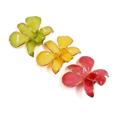 เข็มกลัดดอกกล้วยไม้เดรโดรเบียมขอบทอง เข็มกลัดดอกกล้วยไม้เดรโดรเบียมขอบทอง