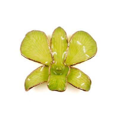 Clear-Coated & Gold Edges Dendrobium Orchid Brooches