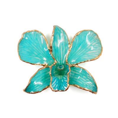 เข็มกลัดดอกกล้วยไม้เดรโดรเบียมขอบทอง เข็มกลัดดอกกล้วยไม้เดรโดรเบียมขอบทอง