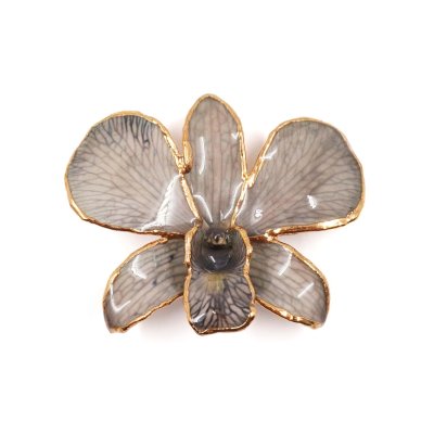 เข็มกลัดดอกกล้วยไม้เดรโดรเบียมขอบทอง เข็มกลัดดอกกล้วยไม้เดรโดรเบียมขอบทอง