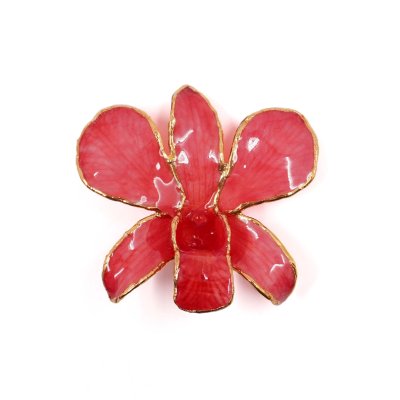 Clear-Coated & Gold Edges Dendrobium Orchid Brooches