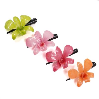 กิ้บดอกกล้วยไม้เดนโดรเบียม กิ้บดอกกล้วยไม้เดนโดรเบียม