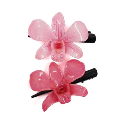 กิ้บดอกกล้วยไม้เดนโดรเบียม กิ้บดอกกล้วยไม้เดนโดรเบียม