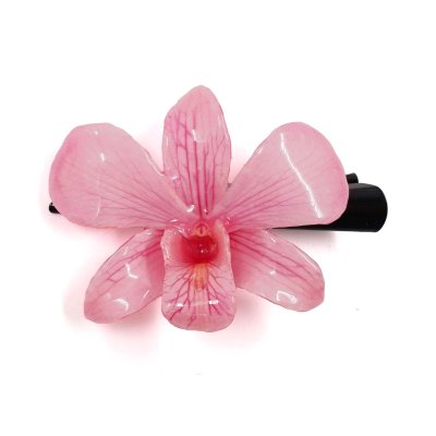 กิ้บดอกกล้วยไม้เดนโดรเบียม กิ้บดอกกล้วยไม้เดนโดรเบียม