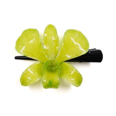 กิ้บดอกกล้วยไม้เดนโดรเบียม กิ้บดอกกล้วยไม้เดนโดรเบียม