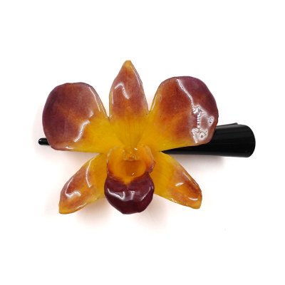 กิ้บดอกกล้วยไม้เดนโดรเบียม กิ้บดอกกล้วยไม้เดนโดรเบียม