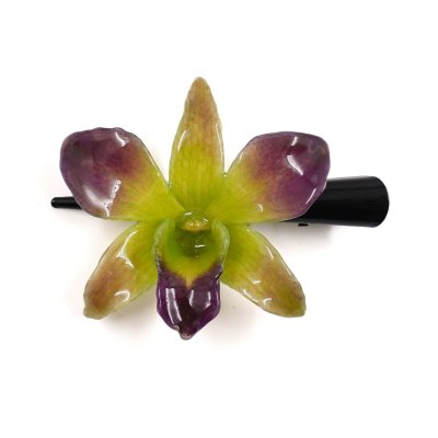 กิ้บดอกกล้วยไม้เดนโดรเบียม กิ้บดอกกล้วยไม้เดนโดรเบียม