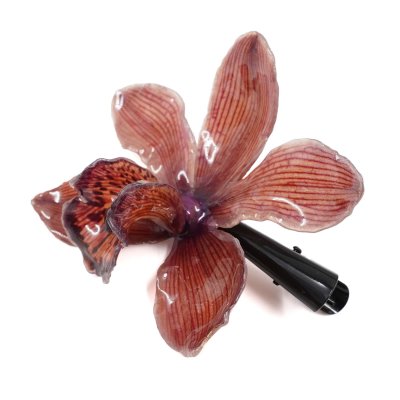 กิ้บดอกกล้วยไม้สกุลซิมบิเดียม กิ้บดอกกล้วยไม้สกุลซิมบิเดียม