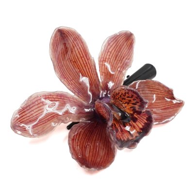 กิ้บดอกกล้วยไม้สกุลซิมบิเดียม กิ้บดอกกล้วยไม้สกุลซิมบิเดียม