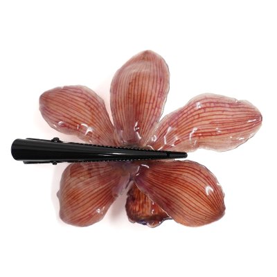 กิ้บดอกกล้วยไม้สกุลซิมบิเดียม กิ้บดอกกล้วยไม้สกุลซิมบิเดียม