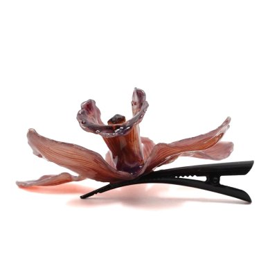 กิ้บดอกกล้วยไม้สกุลซิมบิเดียม กิ้บดอกกล้วยไม้สกุลซิมบิเดียม