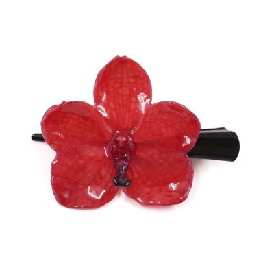 Vanda Orchid Hair Clip