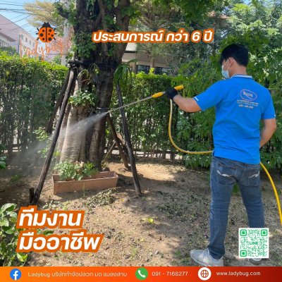 บริการพ่นฆ่าเชื้อโรค /กำจัดปลวก  มด แมลง แมลงสาบ ตะขาบ ตายเรียบ และอื่นๆ