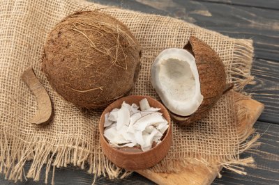 Copra (Cocos nucifera)