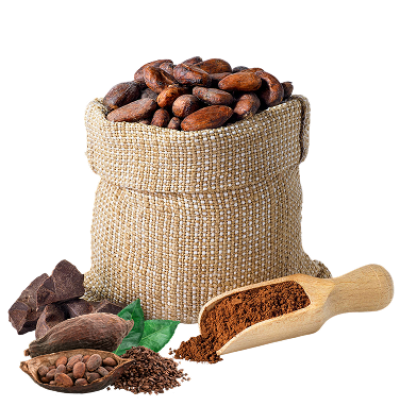 Cocoa Beans (Theobroma cacao)