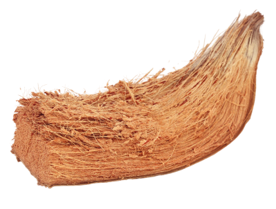 Coco Fiber (Cocos nucifera)