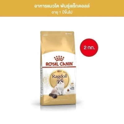 Royal Canin Ragdoll Adult 2kg อาหารเม็ดแมวโต พันธุ์แร็กดอลล์ อายุ 1 ปีขึ้นไป 