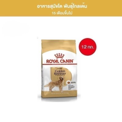 Royal Canin Golden Retriever Adult 12kg อาหารเม็ดสุนัขโต พันธุ์โกลเด้นรีทรีฟเวอร์ อายุ15เดือนขึ้นไป