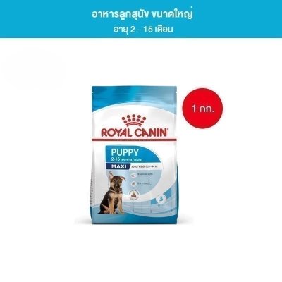 Royal Canin Maxi Puppy 1kg อาหารเม็ดลูกสุนัข พันธุ์ใหญ่ อายุ 2-15 เดือน 