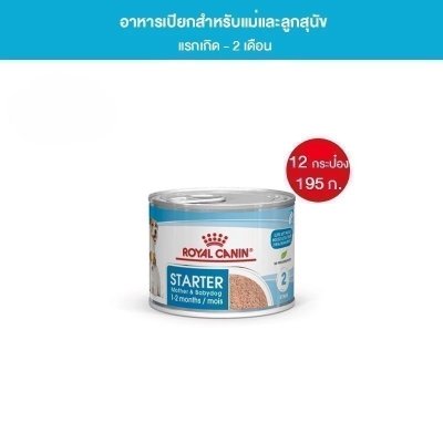 Royal Canin Starter Mousseอาหารเปียกแม่สุนัขตั้งท้อง6สัปดาห์ขึ้นไป-ให้นมและลูกสุนัขหย่านมอายุ1-2เดือน