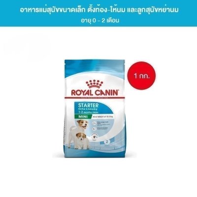 Royal Canin Mini Starter Mother & Baby Dog 1kg อาหารเม็ดแม่สุนัขและลูกสุนัขหย่านม พันธุ์เล็กอายุ 1-2 เดือน