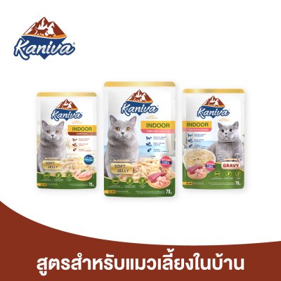 (12 ซอง) Kaniva Indoor Pouch อาหารแมวคานิว่า ชนิดเปียก ช่วยควบคุมน้ำหนัก