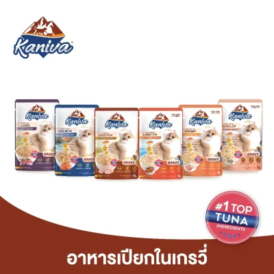 (12 ซอง) Kaniva Pouch In Gravy อาหารแมวคานิว่า
