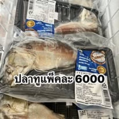 ปลาทู