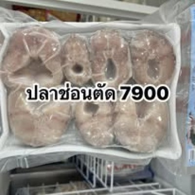 ปลาช่อนตัด