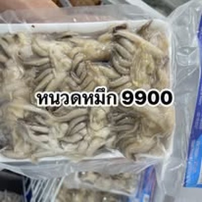 หนวดหมึก
