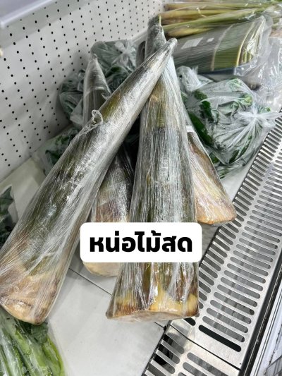 หน่อไม้สด