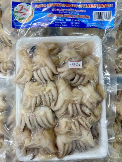 หนวดปลาหมึกกระดอง