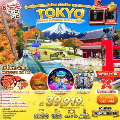 RJ-XJ100 ทัวร์ เรียล เรียล…โตเกียว ส้มเหลือง แซะ แดง รอบฟูจิ