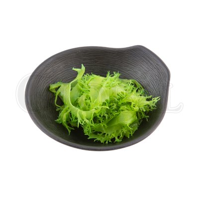 Tosaka Nori 