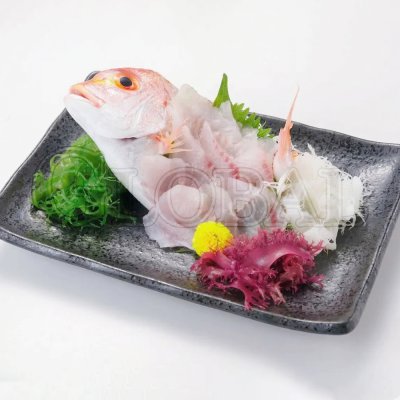 สาหร่ายโตซากะ (สีเขียว)