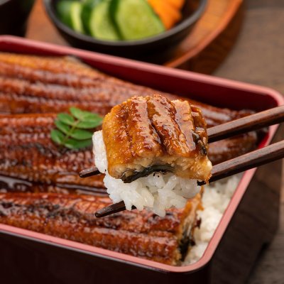 ข้าวหน้าปลาไหล