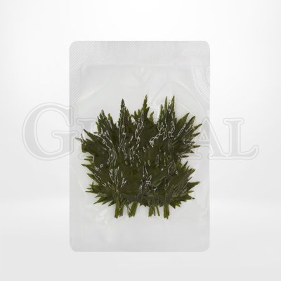 ใบโมมิจิ